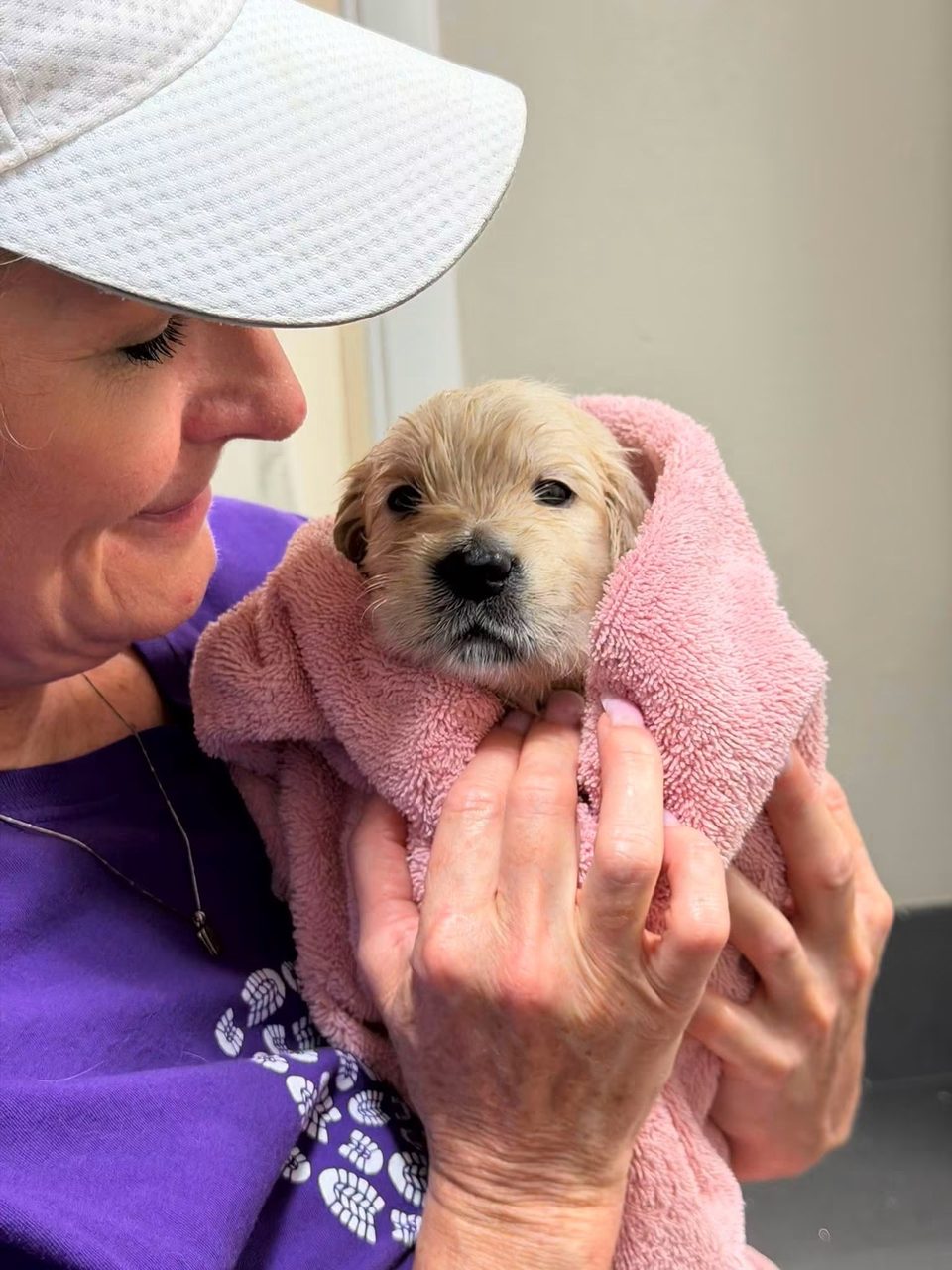 Cindy holding a newborn golden retriever puppy