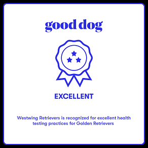 Good Dog: Westwing Retrievers is recognized for excellent health testing practices